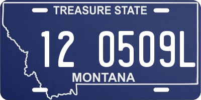 MT license plate 120509L
