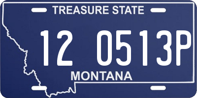 MT license plate 120513P