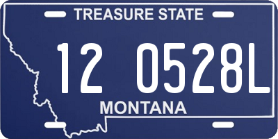 MT license plate 120528L