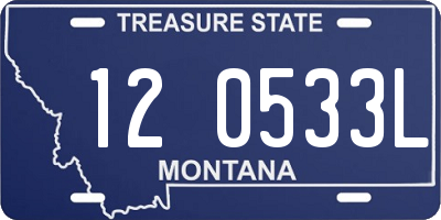 MT license plate 120533L