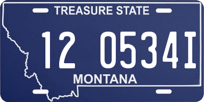 MT license plate 120534I