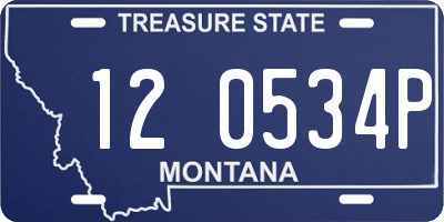 MT license plate 120534P