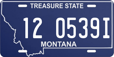 MT license plate 120539I