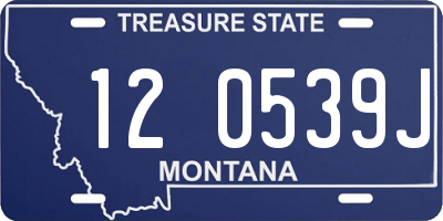 MT license plate 120539J