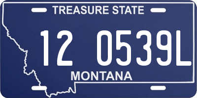 MT license plate 120539L