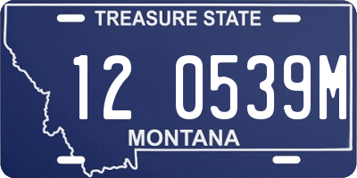MT license plate 120539M