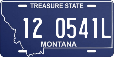 MT license plate 120541L