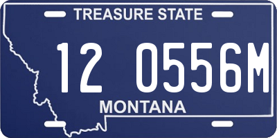 MT license plate 120556M