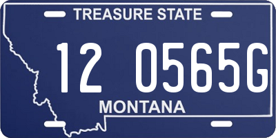 MT license plate 120565G