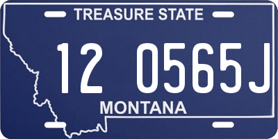 MT license plate 120565J