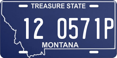 MT license plate 120571P