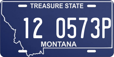 MT license plate 120573P