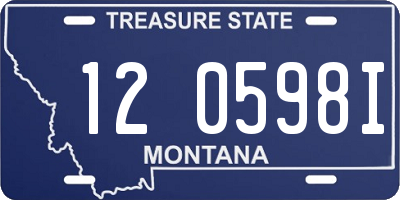 MT license plate 120598I