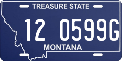 MT license plate 120599G
