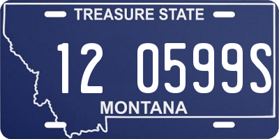 MT license plate 120599S