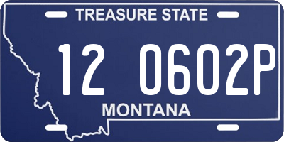 MT license plate 120602P