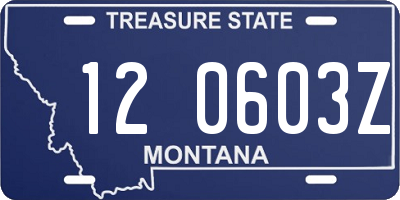 MT license plate 120603Z