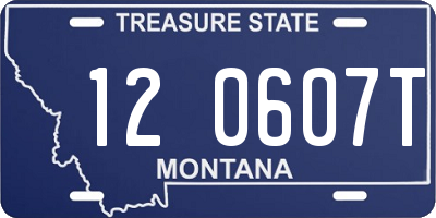 MT license plate 120607T