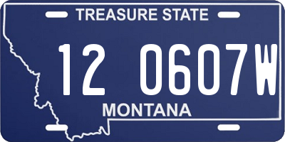 MT license plate 120607W