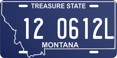 MT license plate 120612L