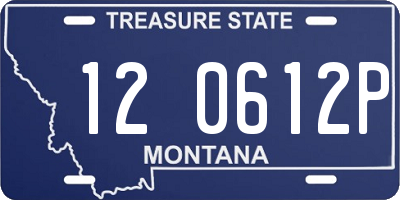 MT license plate 120612P