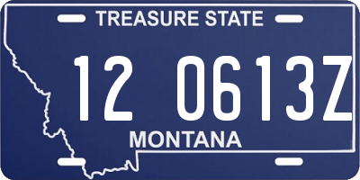 MT license plate 120613Z