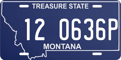 MT license plate 120636P