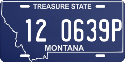 MT license plate 120639P