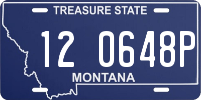 MT license plate 120648P