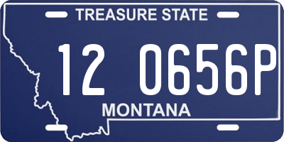 MT license plate 120656P