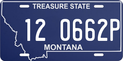 MT license plate 120662P