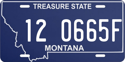 MT license plate 120665F
