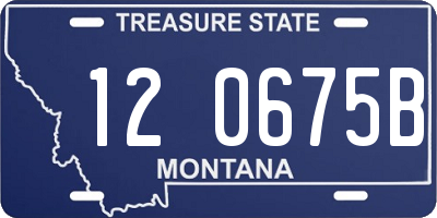 MT license plate 120675B