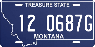 MT license plate 120687G
