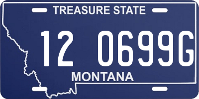 MT license plate 120699G