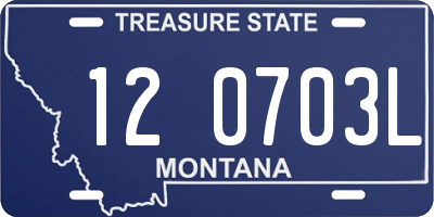 MT license plate 120703L