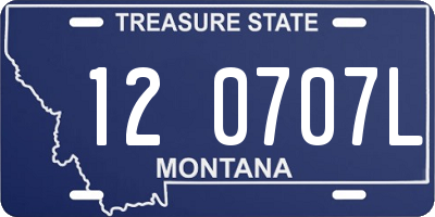 MT license plate 120707L