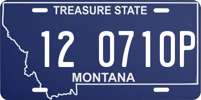 MT license plate 120710P