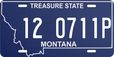 MT license plate 120711P
