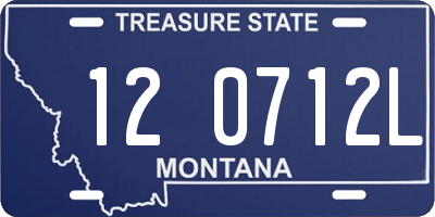MT license plate 120712L