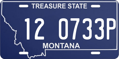 MT license plate 120733P