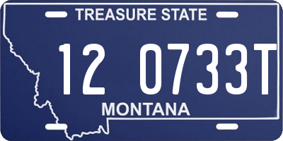 MT license plate 120733T