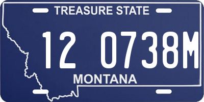 MT license plate 120738M