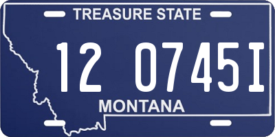 MT license plate 120745I
