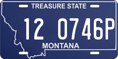 MT license plate 120746P