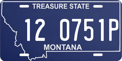 MT license plate 120751P