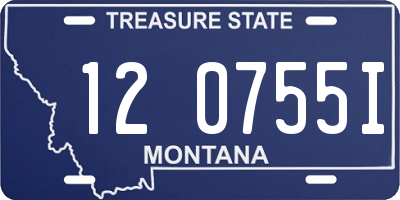 MT license plate 120755I