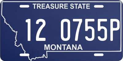 MT license plate 120755P