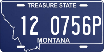 MT license plate 120756P