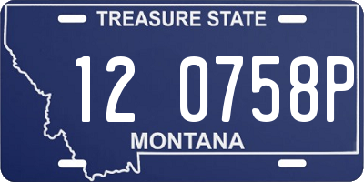 MT license plate 120758P